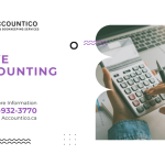 Wave Accounting - Free software