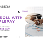 Simplepay.ca Payroll Software Review